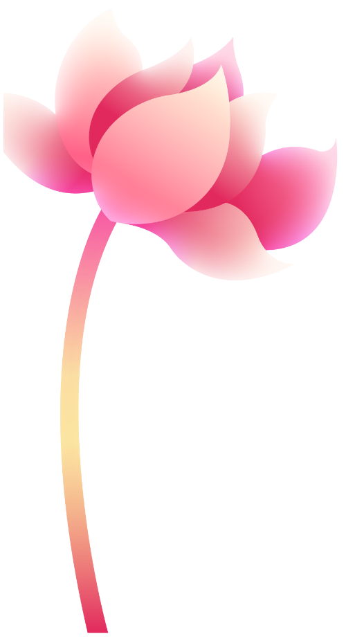 Sen, hoa sen, lotus, gradient 1
