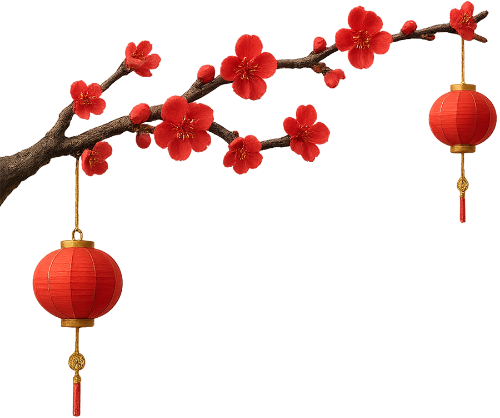 Cành hoa tết, đèn lồng, hoa đỏ, cành cây, tết, đêm, mùa xuân, lồng đèn, tet flower branch, lantern, red flower, branch, tet, night, spring, chinese lantern