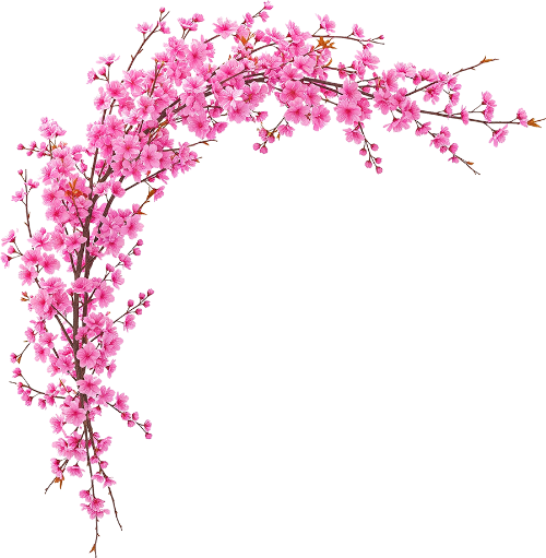 Hoa đào, hoa, nhánh hoa, cành hoa, ngày tết, mùa xuân, màu hồng, peach blossom, flower, branch, twig, tet, spring, pink
