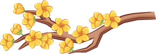 Cành hoa mai, hoa tết, mùa xuân, màu vàng, hoa mai, trang trí, apricot blossom branch, tet flower, spring, yellow, apricot blossom, decoration