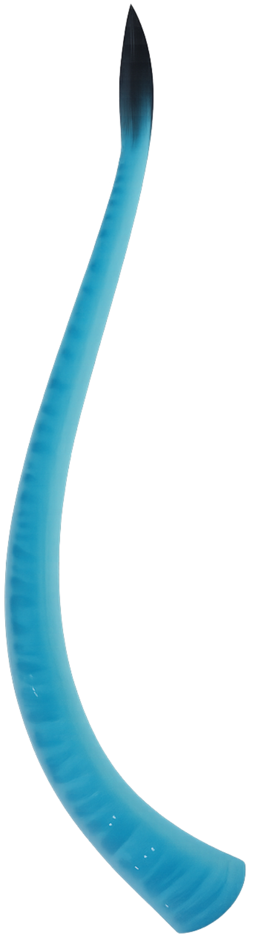 Phụ kiện, viễn tưởng, khoa học viễn tưởng, đuôi, phụ kiện gắn, accessory, fantasy, science fiction, tail, attached accessory