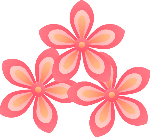 Hoa mai, hoa đào, hoa tết, màu hồng, mùa xuân, trang trí, cánh hoa, apricot blossom, cherry blossom, tet flower, pink, spring, decoration, petals