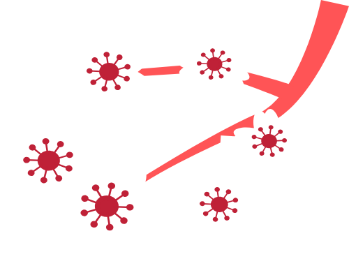 Hoa đào, hoa anh đào, anh đào, hoa, flower, cherry blossom, tết, xuân 5