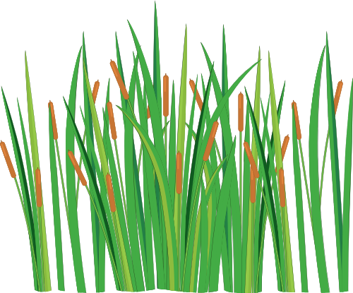 Cỏ, bãi cỏ, grass, shape, thiên nhiên, natural, cute, dễ thương 5