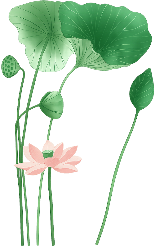Họa tiết, hoa sen, hoa văn, vẽ nét, cách điệu, pattern, lotus, ornament, line drawing, stylized