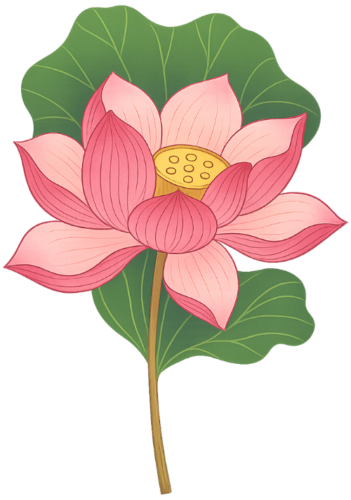 Họa tiết, hoa sen, hoa văn, vẽ nét, cách điệu, pattern, lotus, ornament, line drawing, stylized