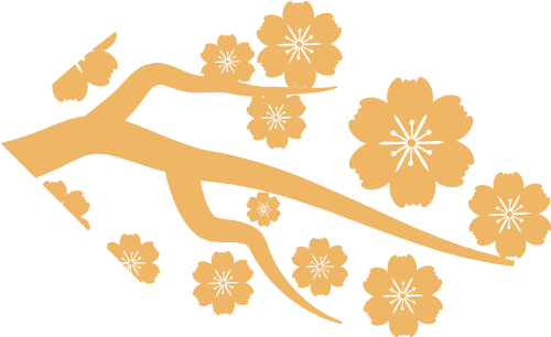 Hoa mai,  apricot blossom, họa tiết, hoa văn, shape, decor 1
