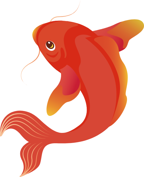 Cá chép, cá, fish, động vật, animal