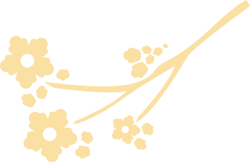 Hoa mai, hoa, flower, tết, xuân, spring