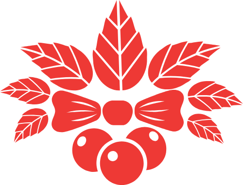 Quả mọng, lá thông, nơ, bow, pine, shape