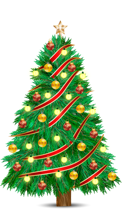 Cây thông, pine, giáng sinh, xmas, noel, christmas 2