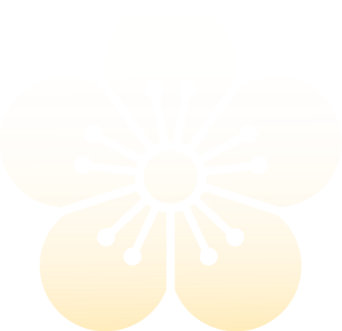 Hoa mai, hoa, hoa đào, cherry blossom, flower, flower shape, shape, gradient
