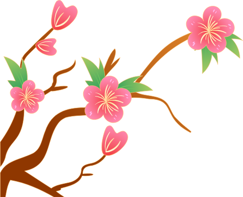 Hoa đào, hoa, flower, cherry blossom, tết, xuân, spring 5