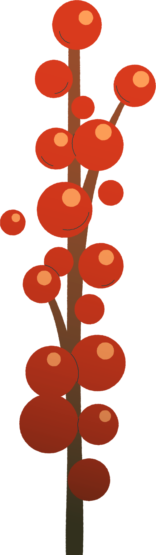 Đào đông, cành quả, màu đỏ, trang trí, tết, mùa xuân, cây cảnh, winterberry, berry branch, red, decoration, lunar new year, spring, ornamental plant