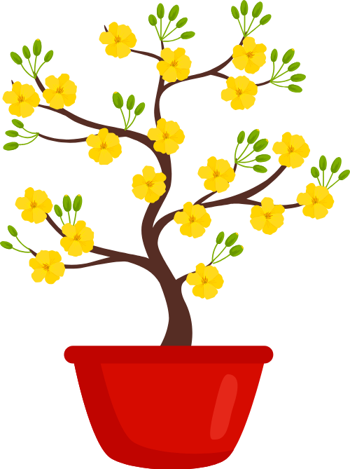 Chậu mai vàng, hoa mai, tết, màu vàng, cây cảnh, chậu đỏ, hoa nở, apricot blossom pot, ochna integerrima, lunar new year, yellow, bonsai, red pot, blooming