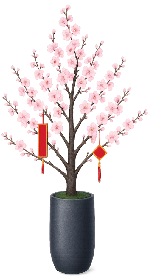 Hoa đào, cây tết, trang trí tết, mùa xuân, hoa màu hồng, cây cảnh, lồng đèn, chậu cây, peach blossom, tet tree, tet decoration, spring, pink flower, ornamental plant, lantern, potted plant