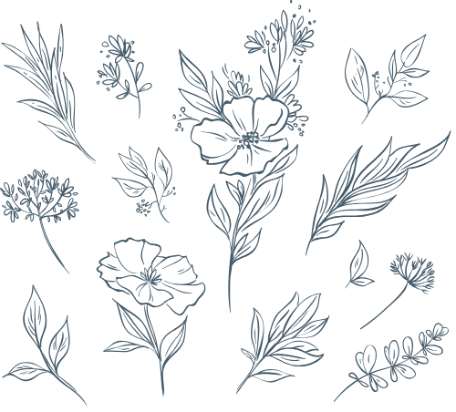 Hoa lá, flower, leaf, thiên nhiên, hoa cỏ
