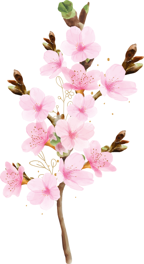Hoa đào, hoa, nhánh hoa, cành hoa, ngày tết, mùa xuân, màu hồng, peach blossom, flower, branch, twig, tet, spring, pink 3