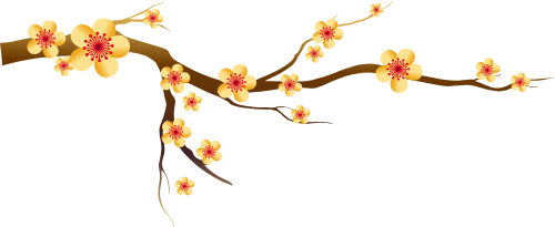 Hoa mai, hoa, flower, Tết, xuân