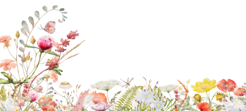 Hoa lá, flower, leaf, thiên nhiên, hoa cỏ
