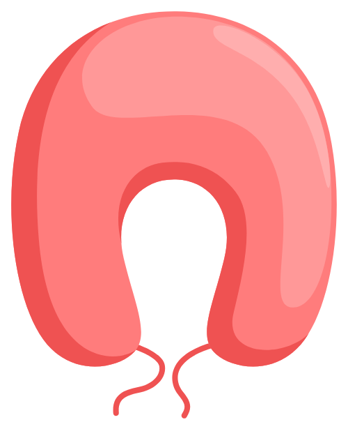 Gối chữ u, gối cổ, du lịch, màu hồng, êm ái, nghỉ ngơi, phụ kiện du lịch, máy bay, u-shaped pillow, neck pillow, travel, pink, comfortable, rest, travel accessories, airplane