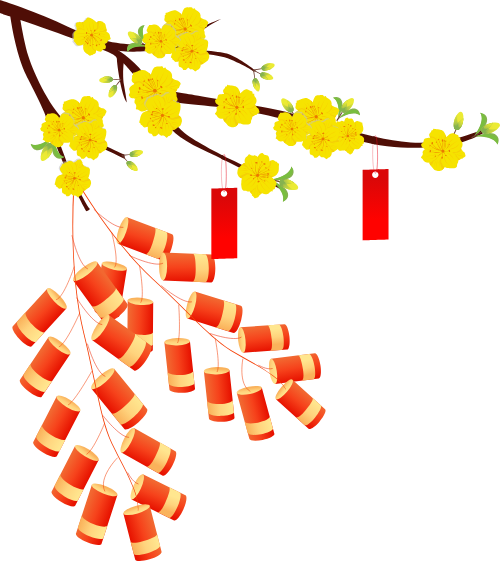 Hoa mai, pháo, hoa, flower, mùa xuân, xuân, tết, spring