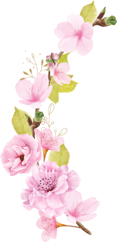 Hoa đào, hoa, nhánh hoa, cành hoa, ngày tết, mùa xuân, màu hồng, peach blossom, flower, branch, twig, tet, spring, pink
