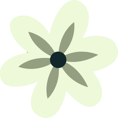 Hoa, hoa mai, flower, tết, xuân, spring