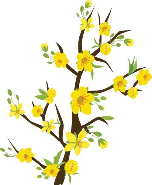 Cành hoa mai, hoa mai vàng, nụ hoa, lá xanh, mùa xuân, tết, hoa tết, apricot blossom branch, yellow apricot flower, flower bud, green leaf, spring, tet holiday, lunar new year flower