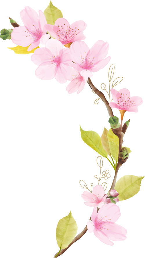 Hoa đào, hoa, nhánh hoa, cành hoa, ngày tết, mùa xuân, màu hồng, peach blossom, flower, branch, twig, tet, spring, pink 8