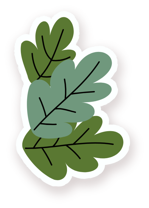 Lá, lá cây, leaves