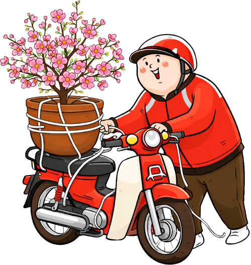 Chàng trai, dắt xe máy, đàn ông, hoa đào, chậu cây, tết nguyên đán, mũ bảo hiểm, vận chuyển, hoa xuân, màu hồng, boy, pushing scooter, man, peach blossom, flower pot, lunar new year, helmet, delivery, spring flower, pink