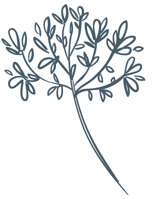 Hoa lá, flower, leaf, thiên nhiên, hoa cỏ 5