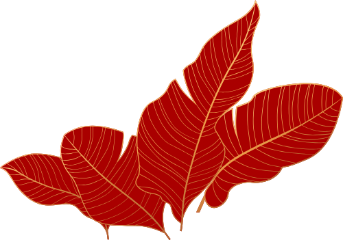 Lá, lá cây, leaf, leave, lá chuối, banana, shape 1