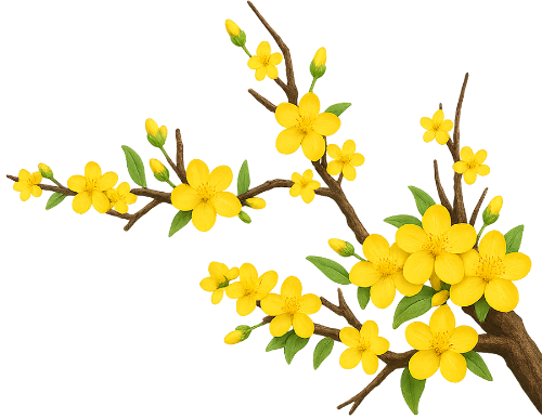 Cành hoa mai, hoa mai vàng, hoa rộ, cành cây, tết, mùa xuân, hoa, lá xanh, yellow apricot blossom, apricot flower, full bloom flower, branch, tet, spring, flower, green leaf