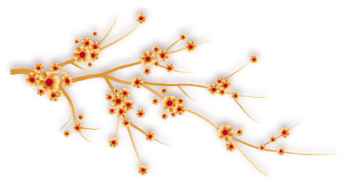 Hoa mai, hoa, flower, apricot blossom