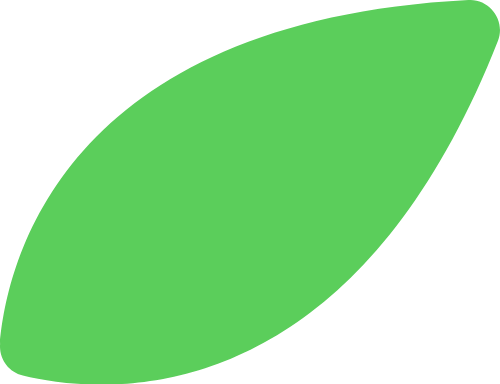 Lá cây, lá, leaf, leave, mùa xuân, xuân, tết, spring