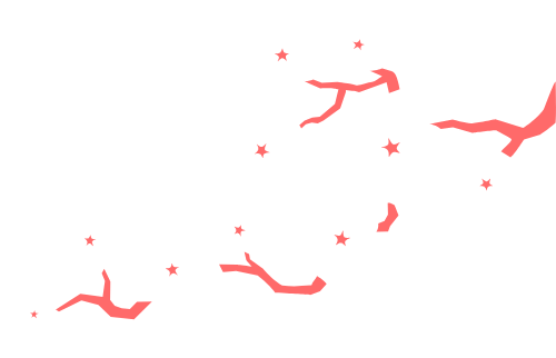 Hoa anh đào, hoa, flower, cherry blossom, mùa xuân, spring 6