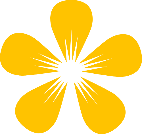 Hoa, hoa mai, flower, shape