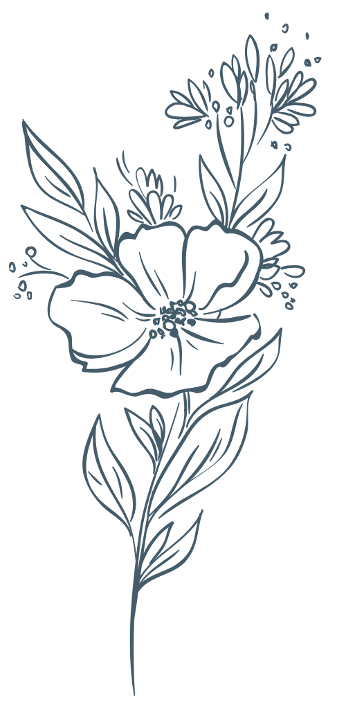 Hoa lá, flower, leaf, thiên nhiên, hoa cỏ 1