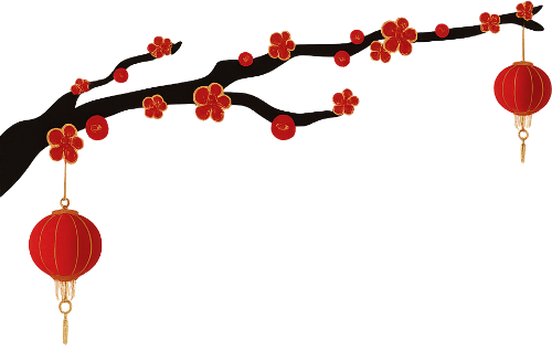Cành hoa tết, đèn lồng, hoa đỏ, cành cây, tết, đêm, mùa xuân, lồng đèn, tet flower branch, lantern, red flower, branch, tet, night, spring, chinese lantern