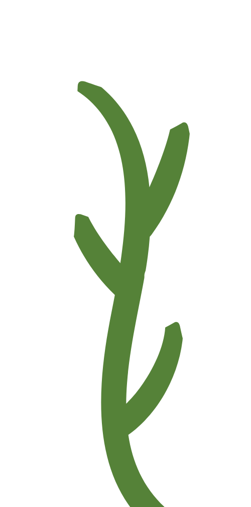 Hoa, hoa lá, flower, cute, dễ thương