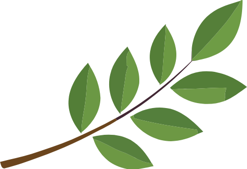 Cành lá, lá cây, màu xanh lá, thiên nhiên, thực vật, trang trí, hữu cơ, leaf branch, leaves, green, nature, plant, decoration, organic