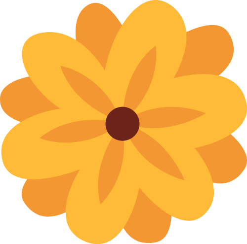Hoa, hoa mai, flower, tết, xuân, spring