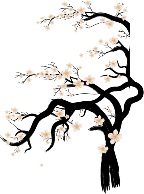 Hoa anh đào, hoa, flower, cherry blossom, mùa xuân, spring 3