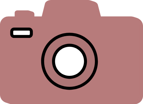 Máy ảnh, nhiếp ảnh, chụp hình, lưu niệm, thiết bị, màu hồng đất, Camera, photography, photo, souvenir, equipment, dusty rose