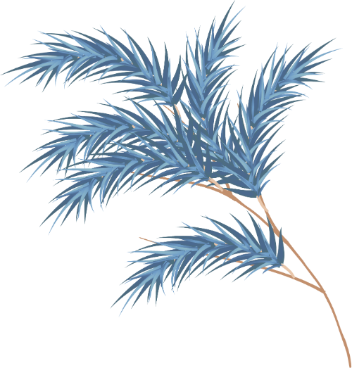 Lá thông, lá cây, cây thông, giáng sinh, pine, leaves, leaf, christmas, xmas 4