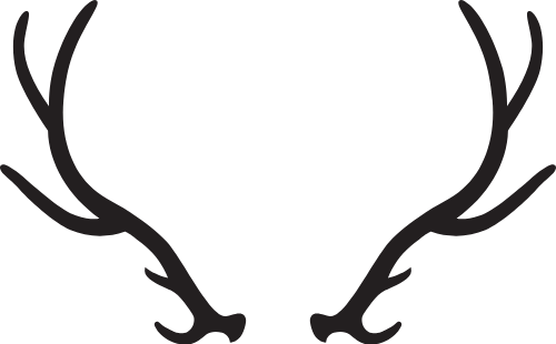 Sừng hươu, sừng, sừng tuần lộc, deer, động vật, animal, abstract, xmas, christmas 4
