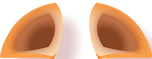 Ngựa, tai ngựa, động vật, horse, horse ears, animal