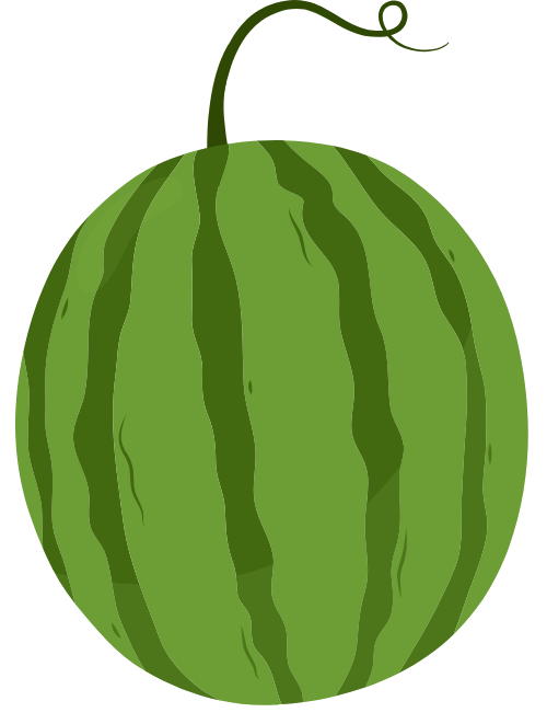 Dưa hấu, dưa, watermelon, tết, xuân, spring